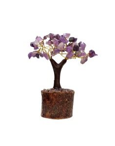 ARBOL AMATISTA